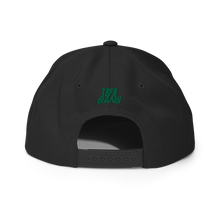 Load image into Gallery viewer, 3RD BIG BASS DIV Snapback Hat